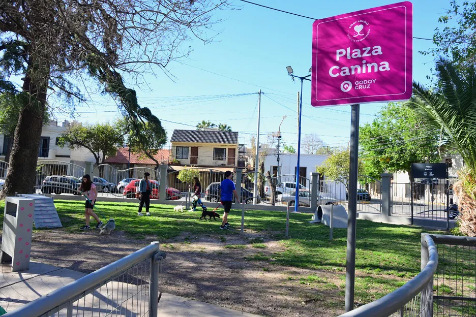 plaza-canina3