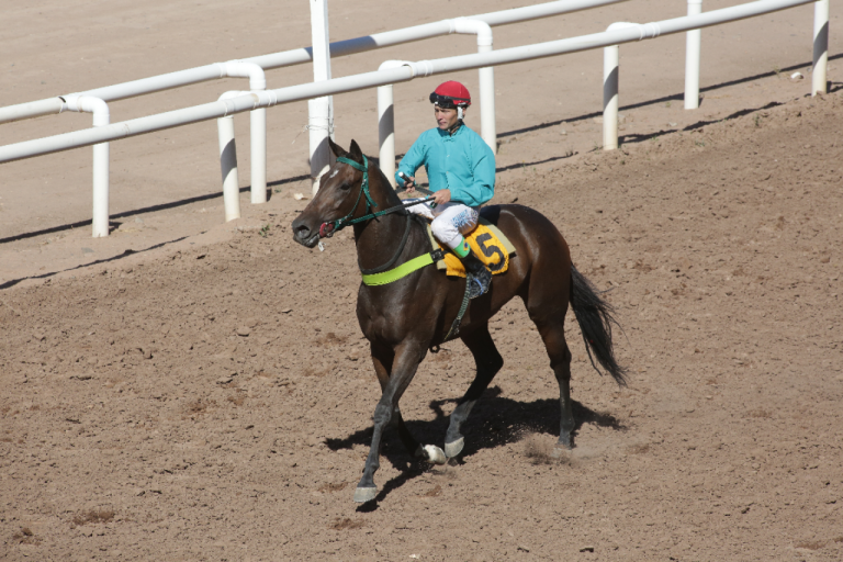 Turf, Furioso de acero con el clasico Vendimia