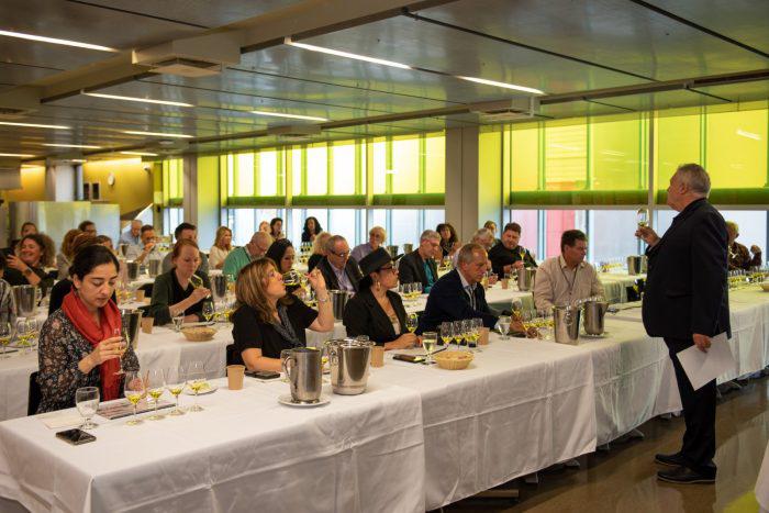 vinos concurso