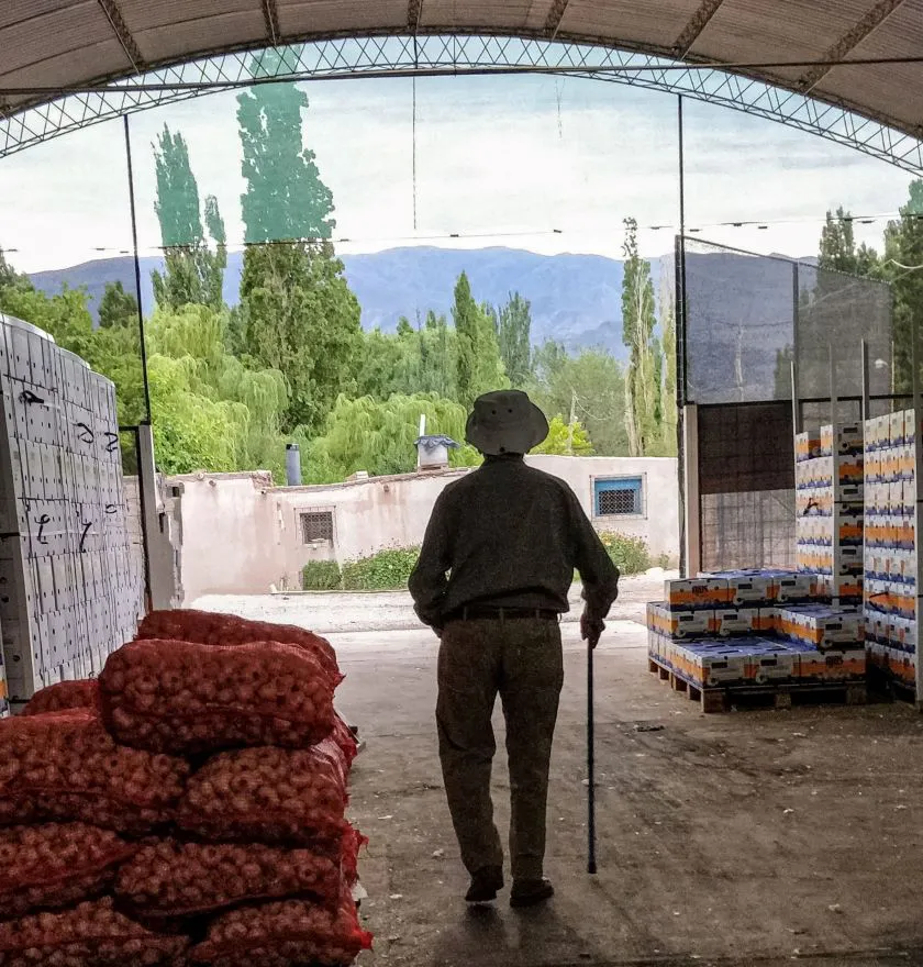 El Tio Gringo -Jimena Hevilla