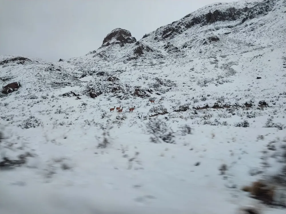 WhatsApp Image 2023-08-21 at 19.17.10 (1)