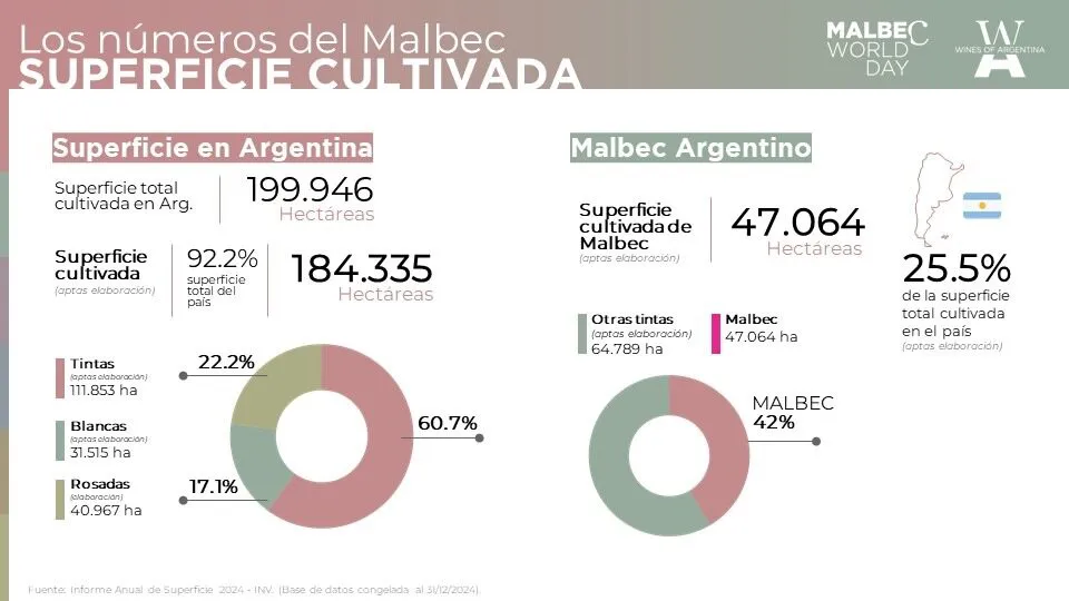 cifras malbec