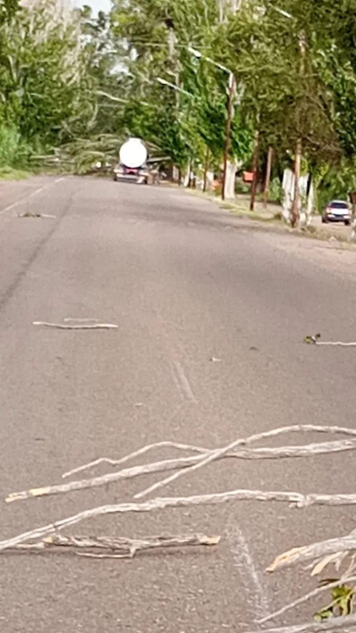 WhatsApp Image 2025-01-23 at 9.49.12 PM