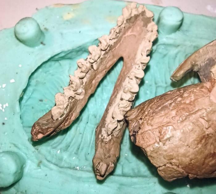 WhatsApp Image 2024-02-17 at 8.58.57 PM