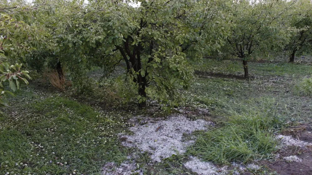 granizo san rafael 2024