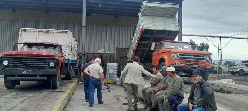 WhatsApp Image 2025-03-16 at 7.50.58 AM (1)