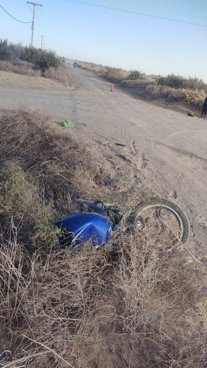 WhatsApp Image 2024-07-11 at 18.52.43 (2)