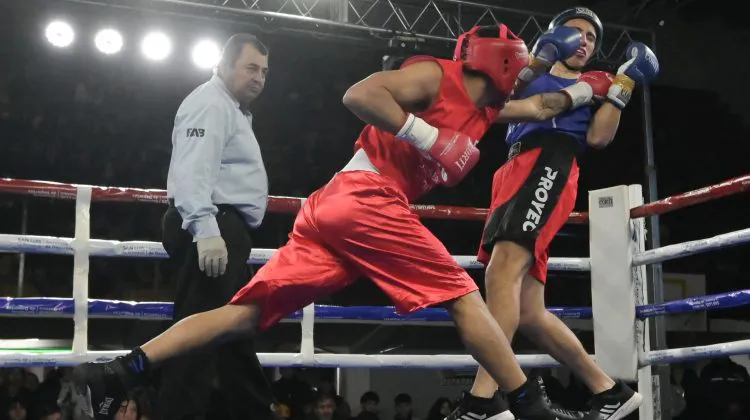 Boxeo, torneo José Maria Gatica, combates profesionales
