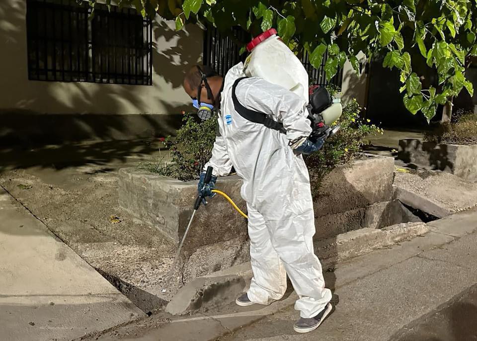 Desinfección Dengue Maipú 3