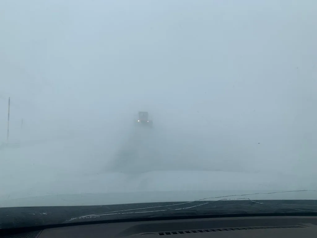 WhatsApp Image 2023-08-20 at 12.52.53