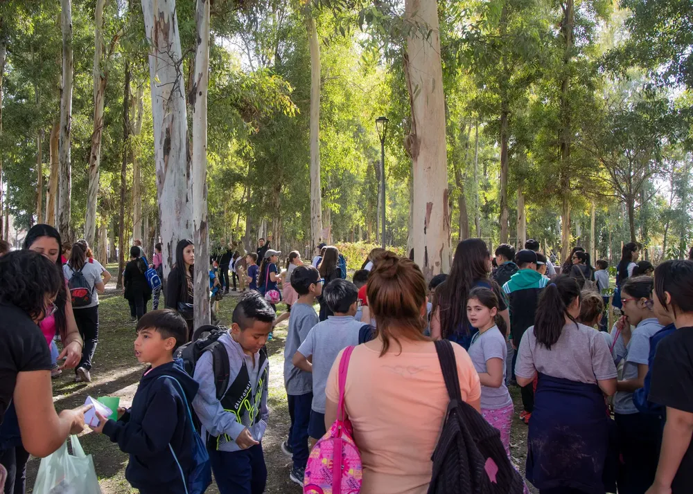 Día provincial del árbol Maipú 6
