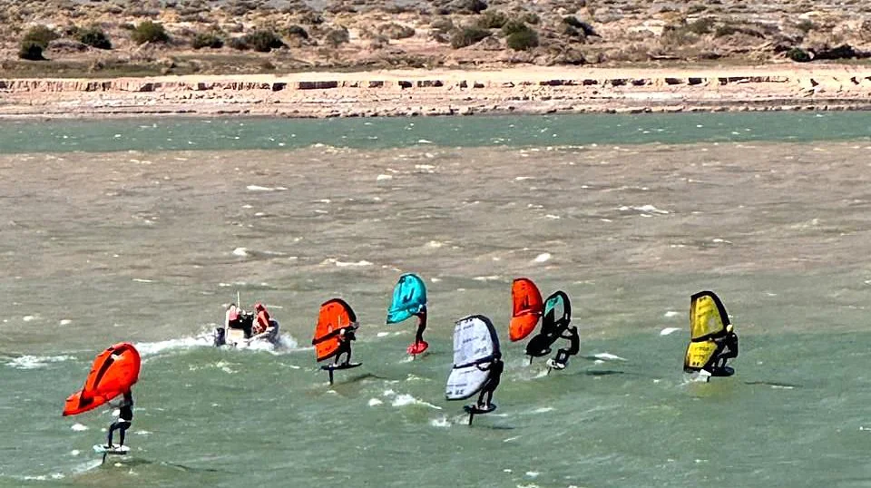 55117893007_9904c0570a_b