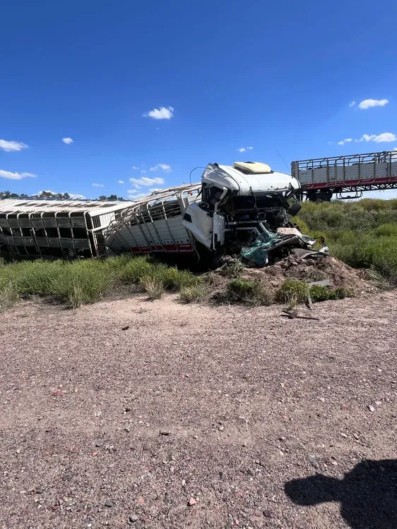 IMG-20251127-WA0042(1)