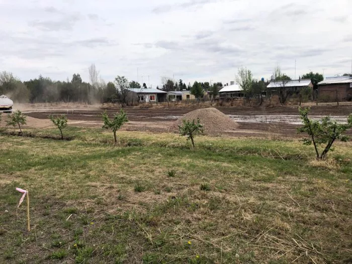 IMG-20221005-WA0008-700x525