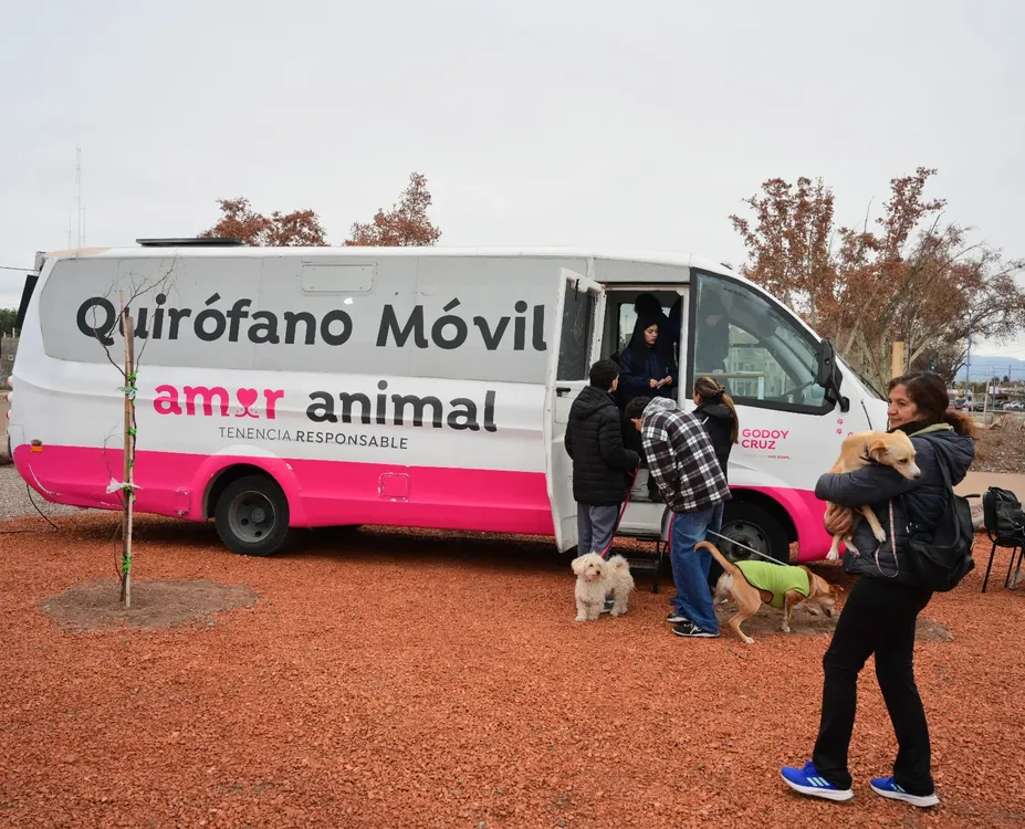 Amor-Animal-GC