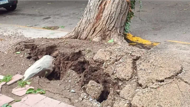 WhatsApp Image 2026-01-31 at 1.46