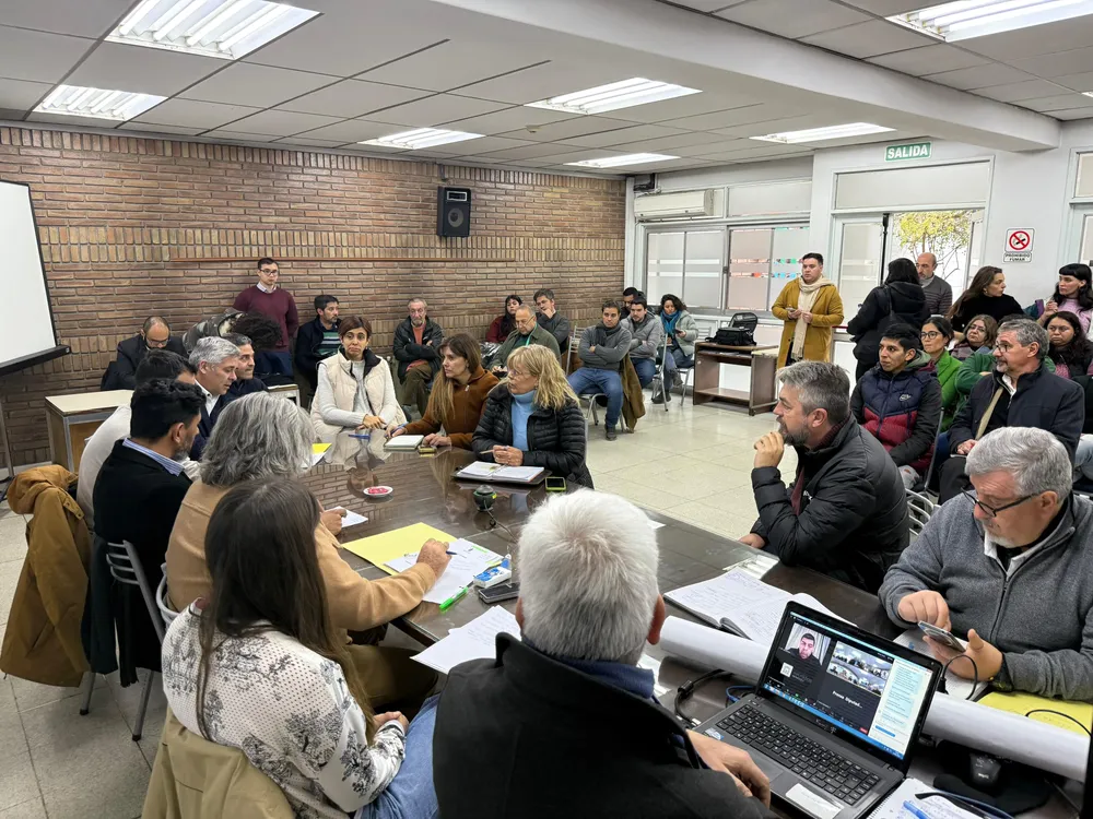 comision dip situacion de calle