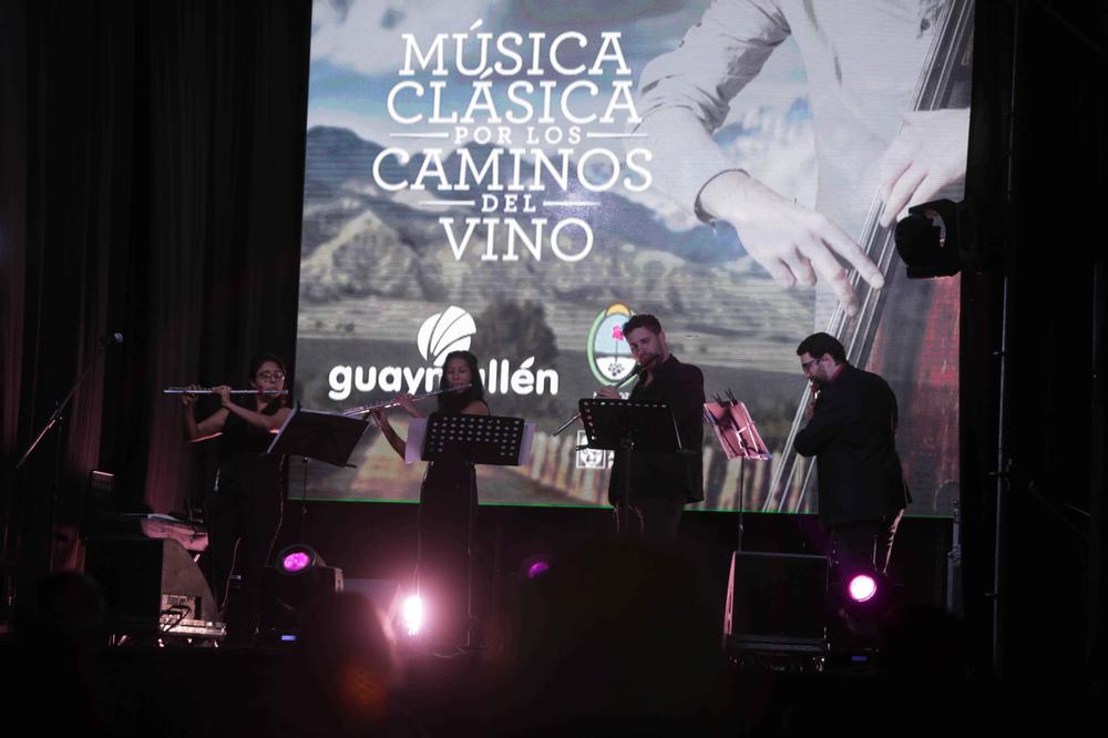 Música clásica por los caminos del vino (2)