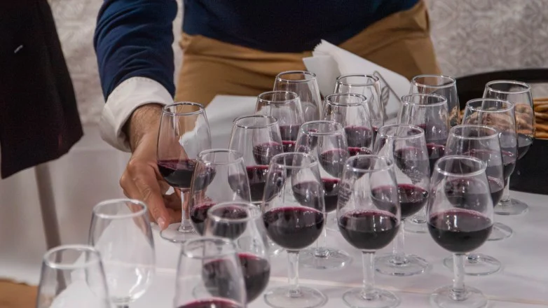copa vino malbec