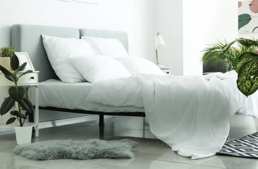 colchones y almohadas (6)