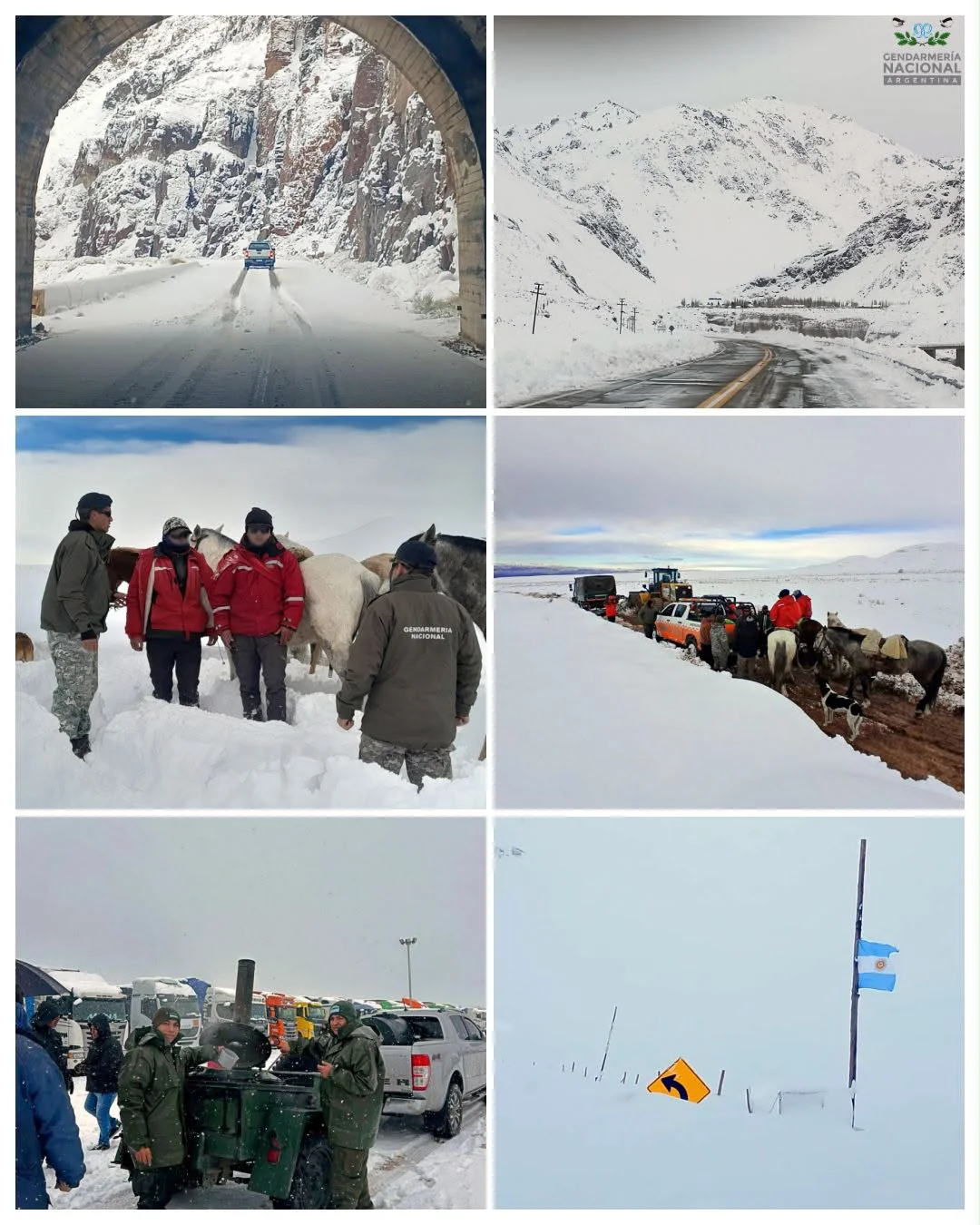 puesteros nieve