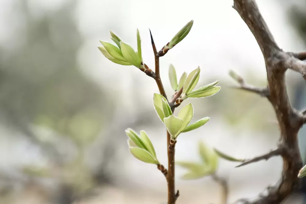 Secundaria-Relevamiento-1536x1024