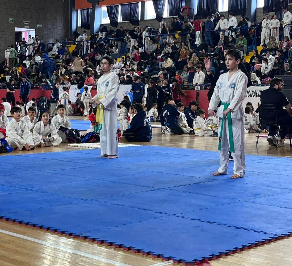 XII Copa Provincia de Mza Taekwondo  4