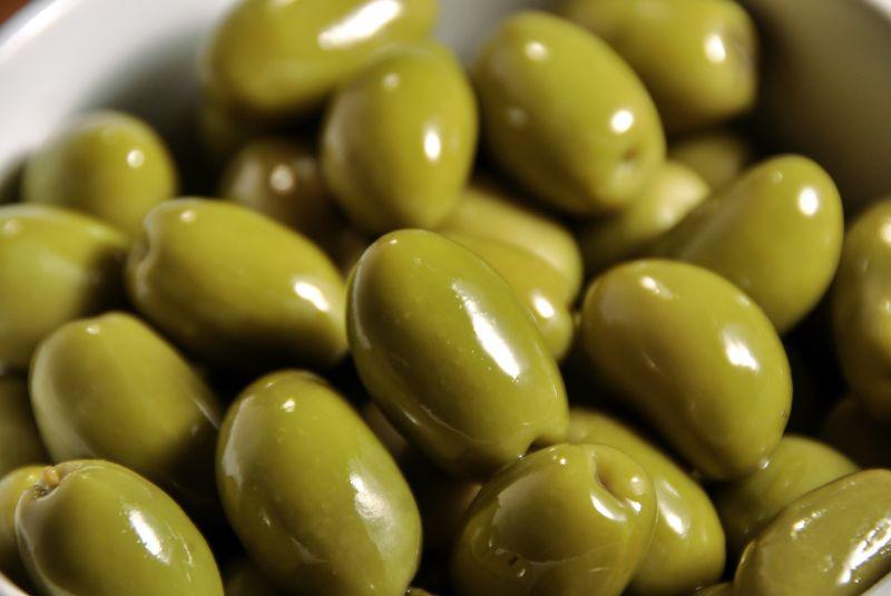 Olivos-germoplasma-1