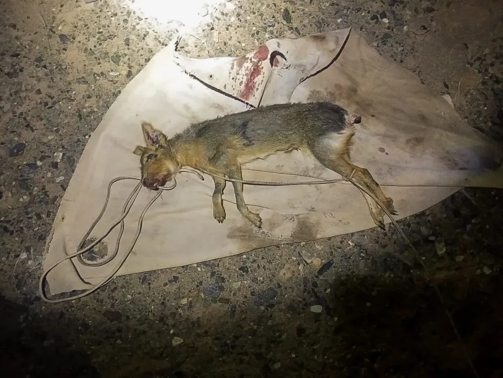 WhatsApp Image 2025-04-27 at 10.44.52 AM