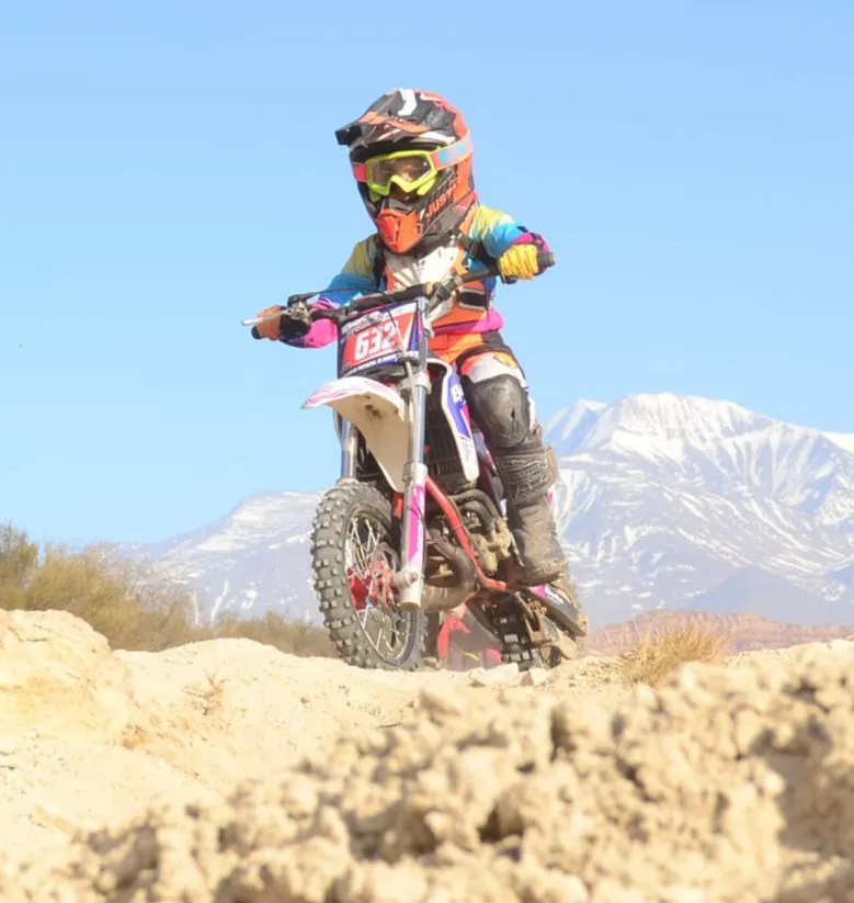 Enduro, Las Avispas