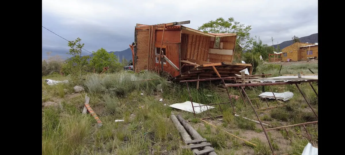 WhatsApp Image 2023-10-31 at 10.55.14