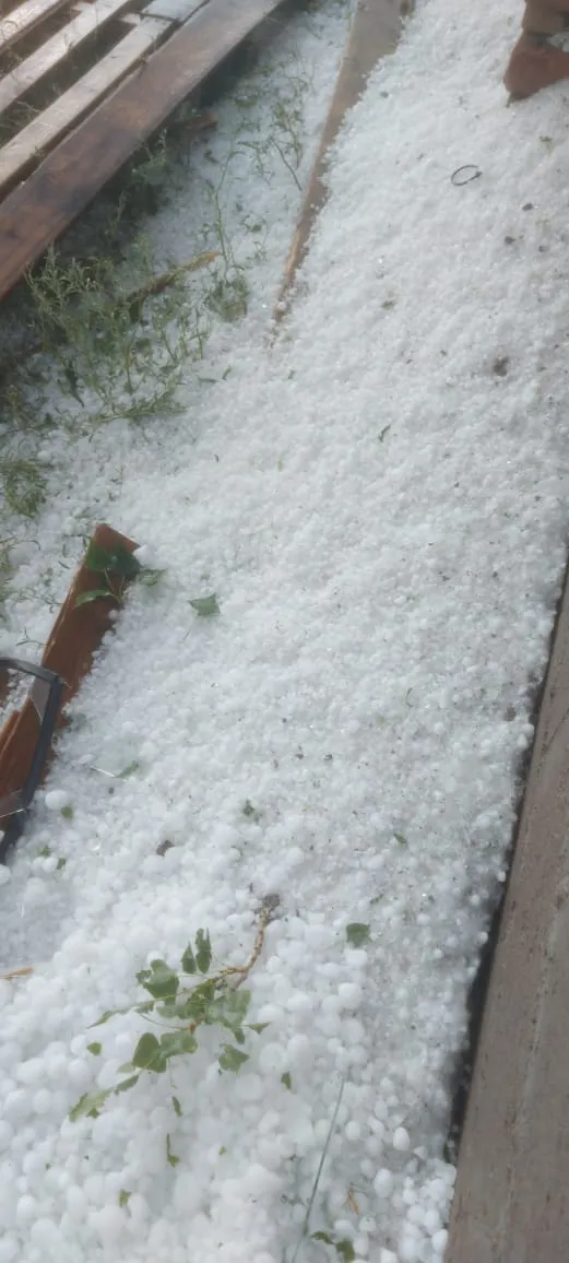 WhatsApp Image 2025-01-23 at 9.49.13 PM (1)