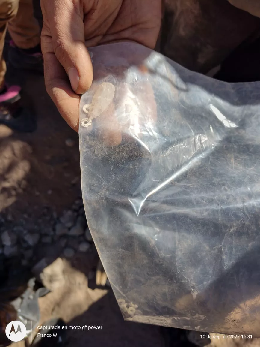 WhatsApp Image 2022-09-10 at 21.06.40