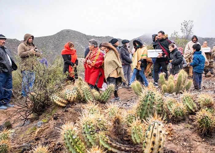 WhatsApp Image 2024-05-30 at 09.33.34