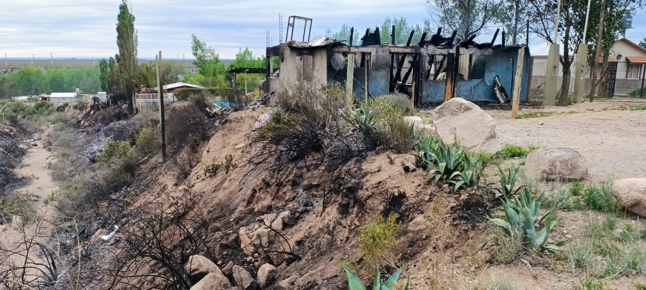 WhatsApp Image 2023-10-31 at 10.52.03