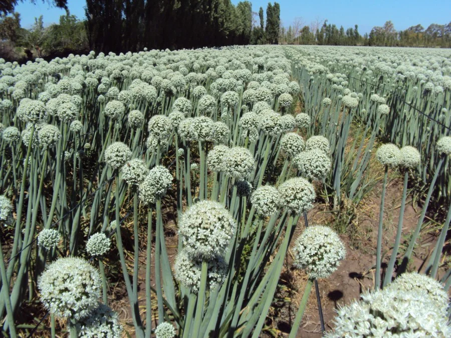 97e2ebed13b5cd62c03dc80d19b5eaab_L