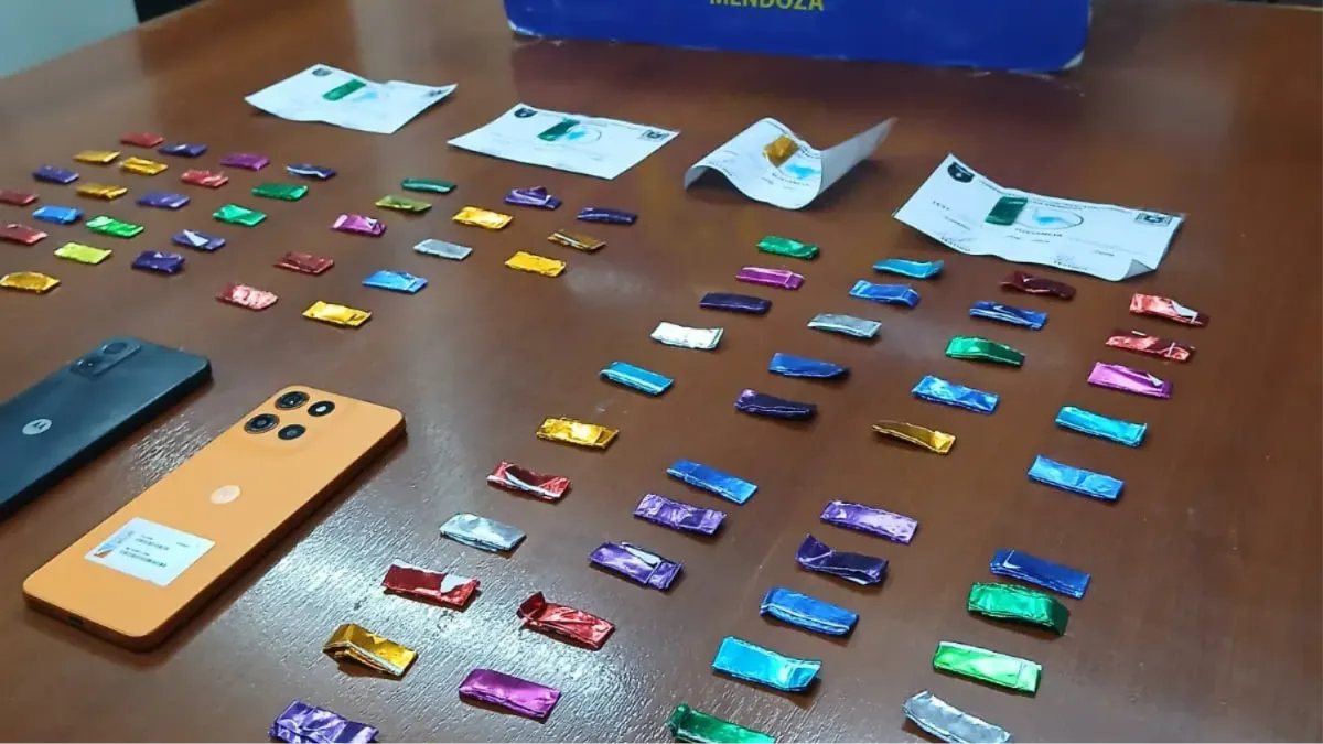 WhatsApp Image 2025-11-15 at 1.12