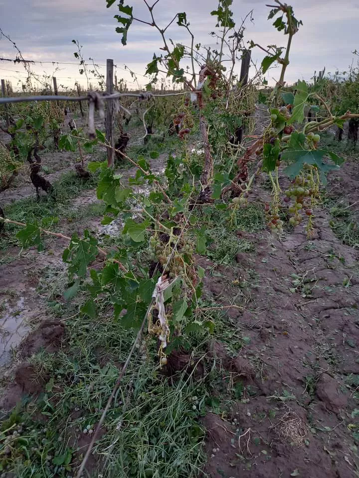 Granizo Este 12/01/23