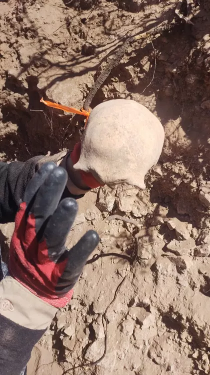 WhatsApp Image 2022-09-10 at 21.06.43