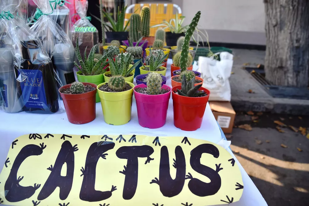 Paseo de Arte Los Corralitos 4