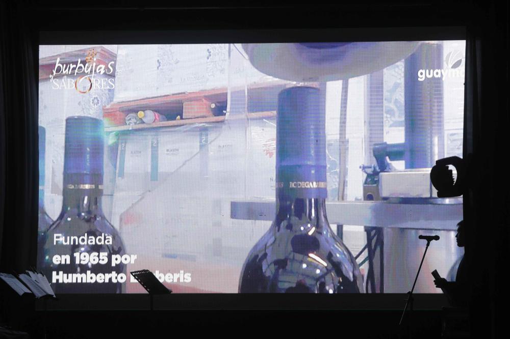 Música clásica por los caminos del vino (9)