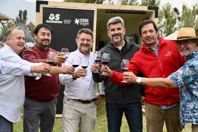 Vendimia del Valle del Maipo 2024