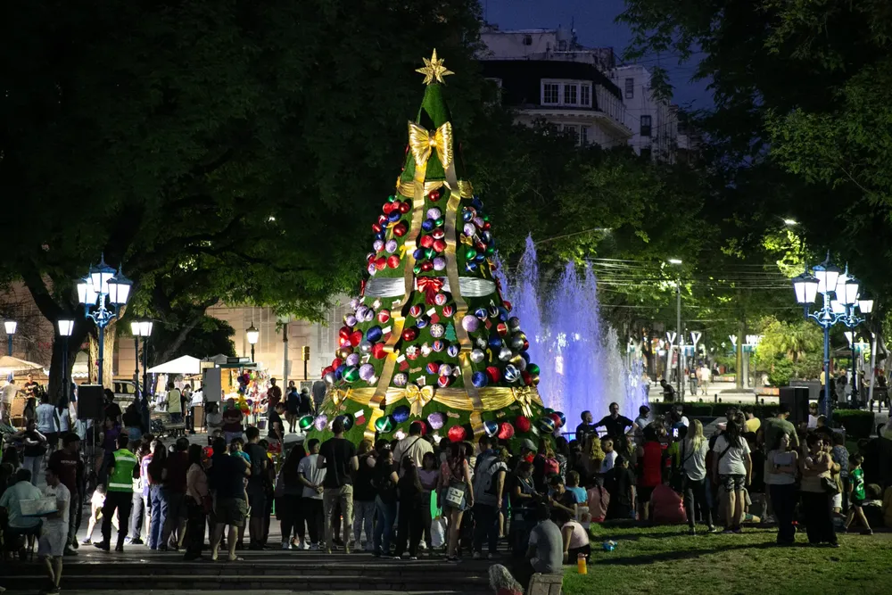 arbol navidad cdad 2024