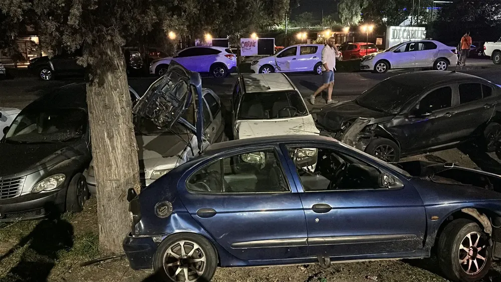 WhatsApp Image 2026-01-17 at 11.57.58 AM