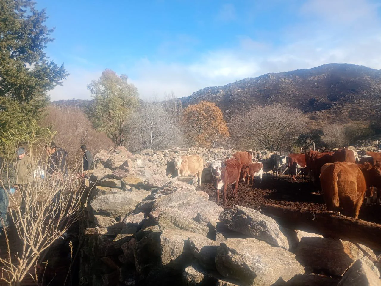 apoyo incendios san luis 3