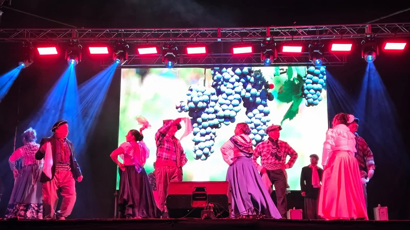 Artistas locales en todas los festejos
