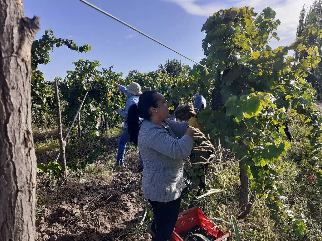 formacion vitivinicola escuelas (10)