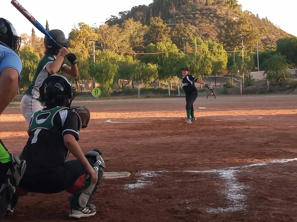 Softbol, Campeonato Apertura
