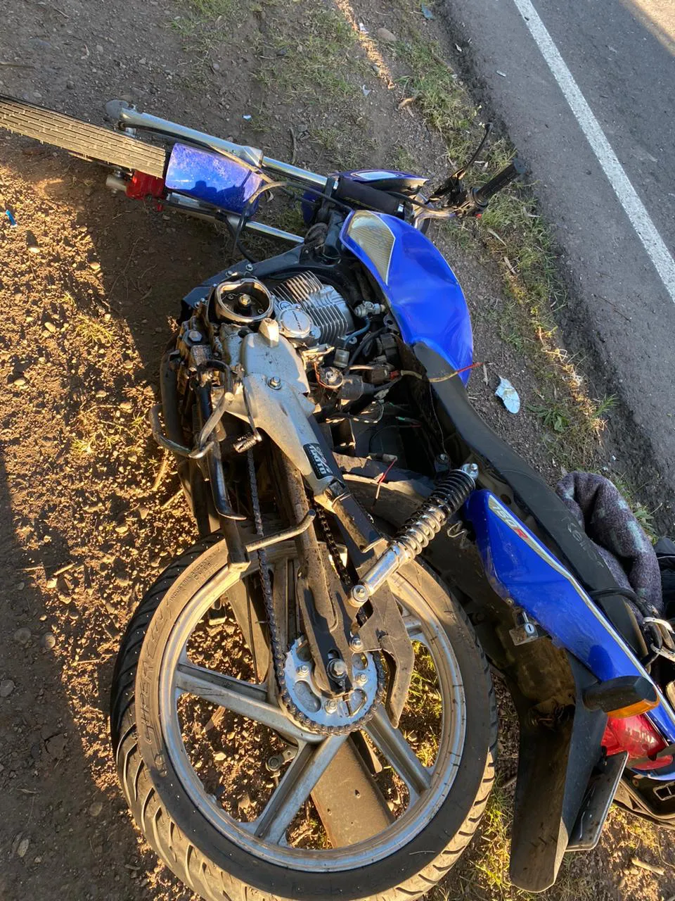 WhatsApp Image 2024-11-24 at 20.50.20 (1)