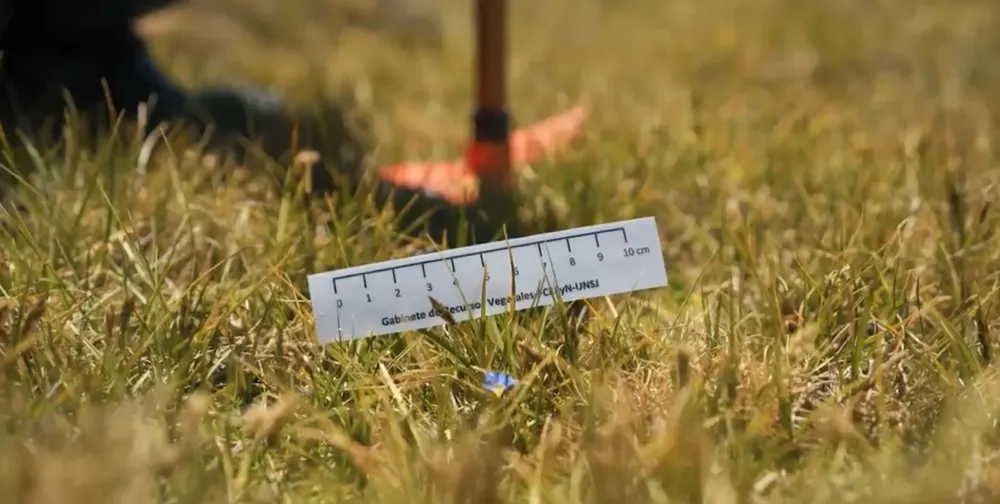 bedcfe97-293b-4623-a686-9ee3a8282640